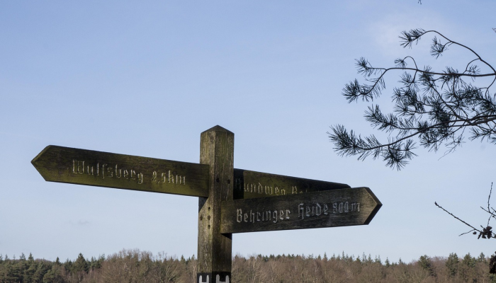 丽江疫情现状,旅游天堂的健康守护与实时动态解析 丽江疫情现状,旅游天堂的健康守护与实时动态解析